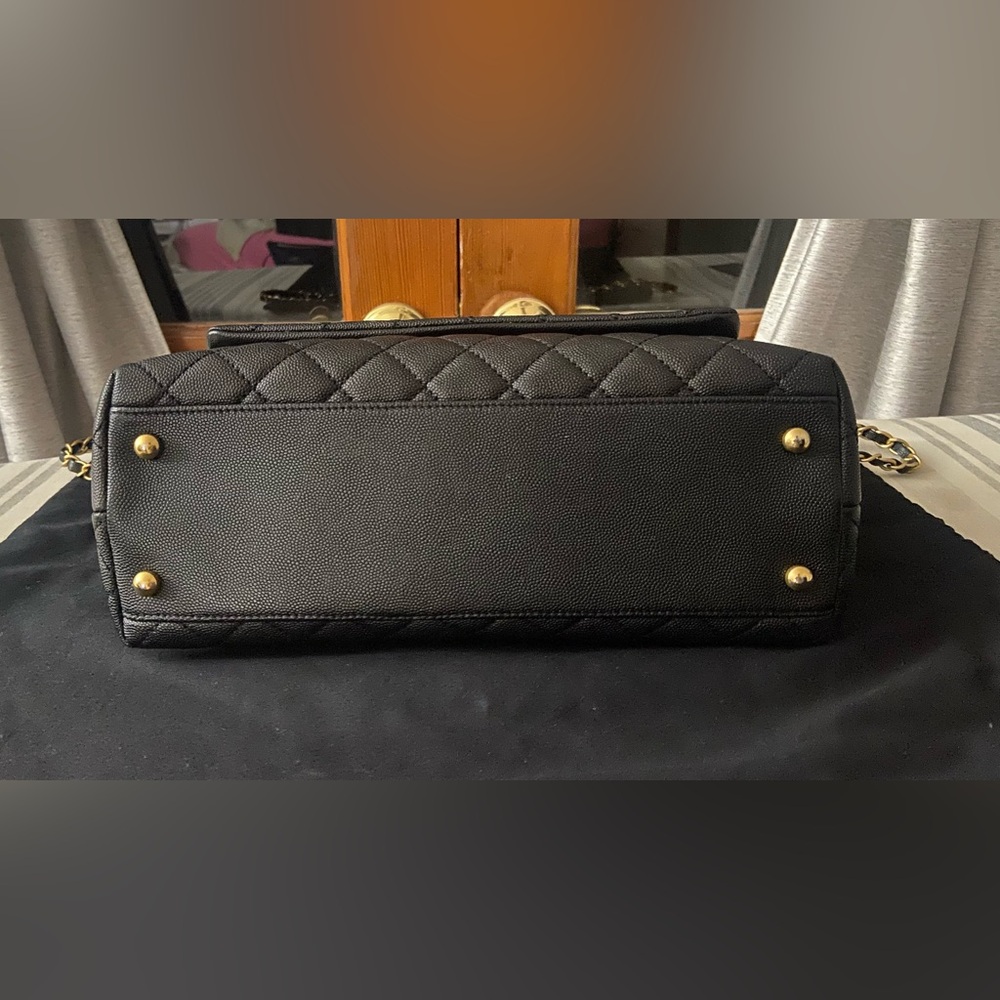 CHANEL Python-Trimmed Medium Coco Handle Bag - Picture 4 of 10